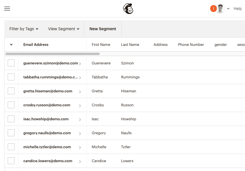 Mailchimp audience populated